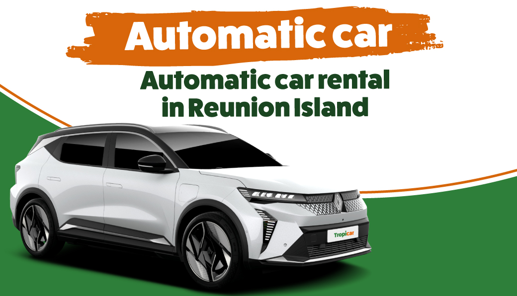Automatic vehicle rental