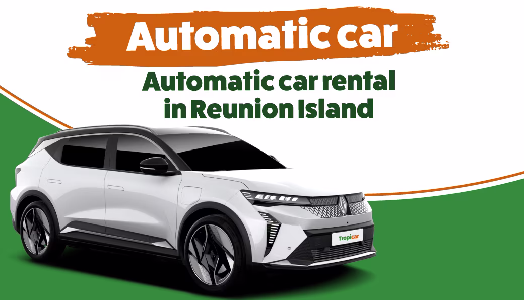 Automatic vehicle rental