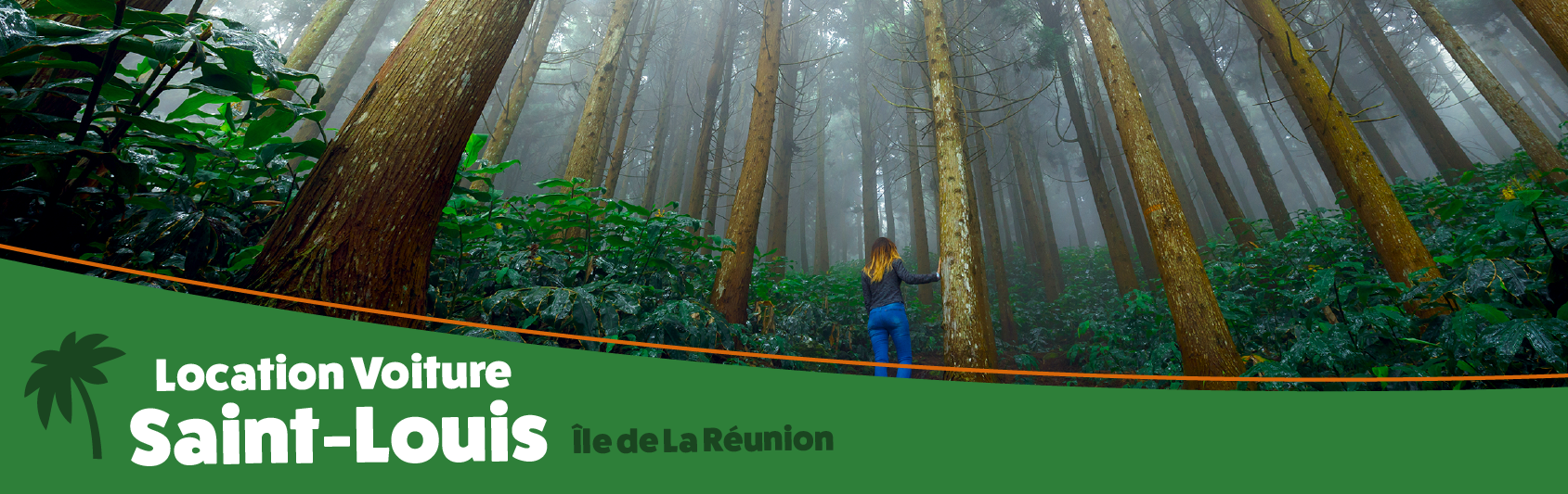 location-voiture-saint-louis