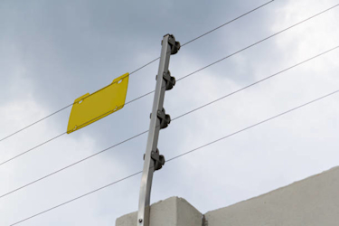 Imagen d2de30e0-8b14-5471-a9b8-02db46a3496b