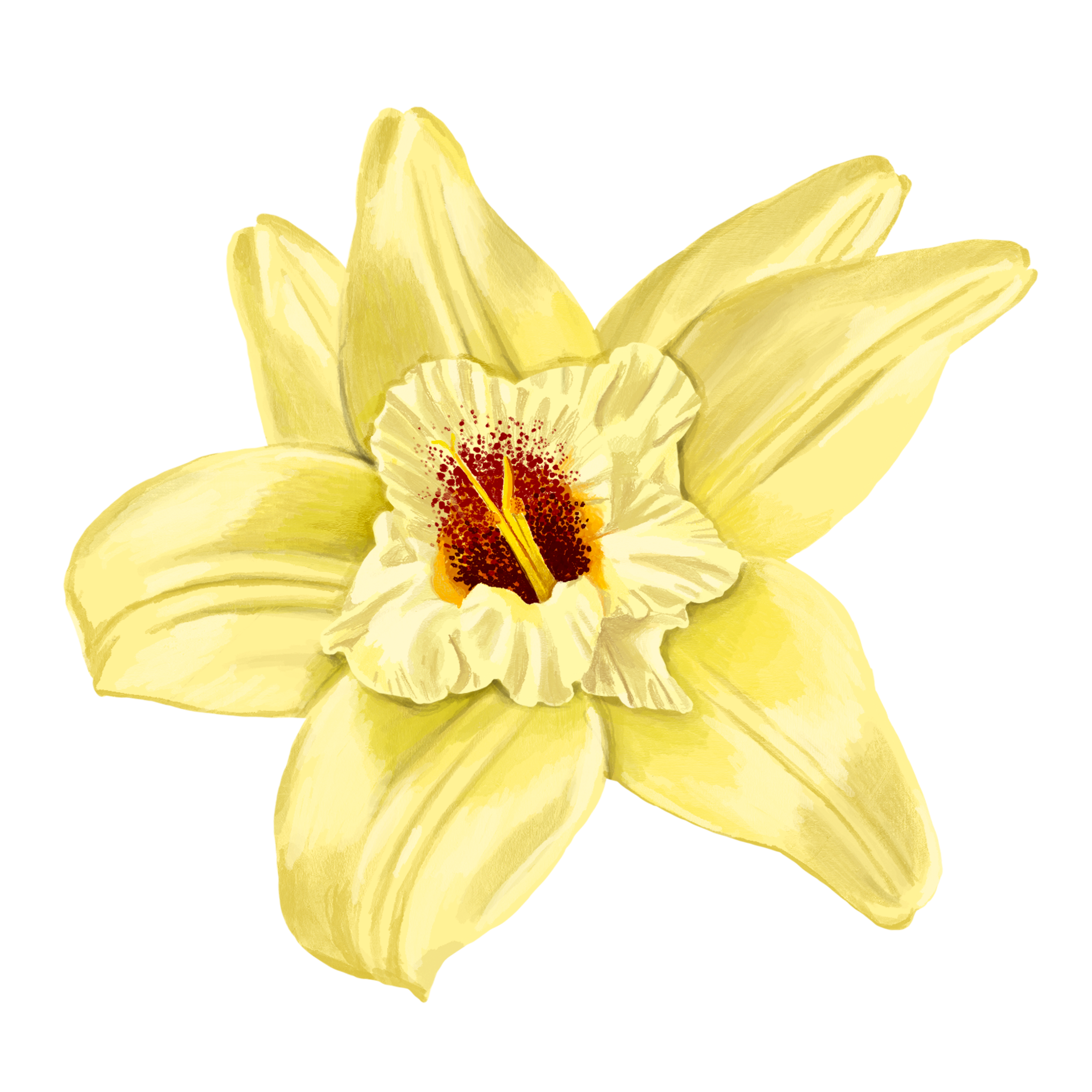 Icon - Flavour - Vanilla