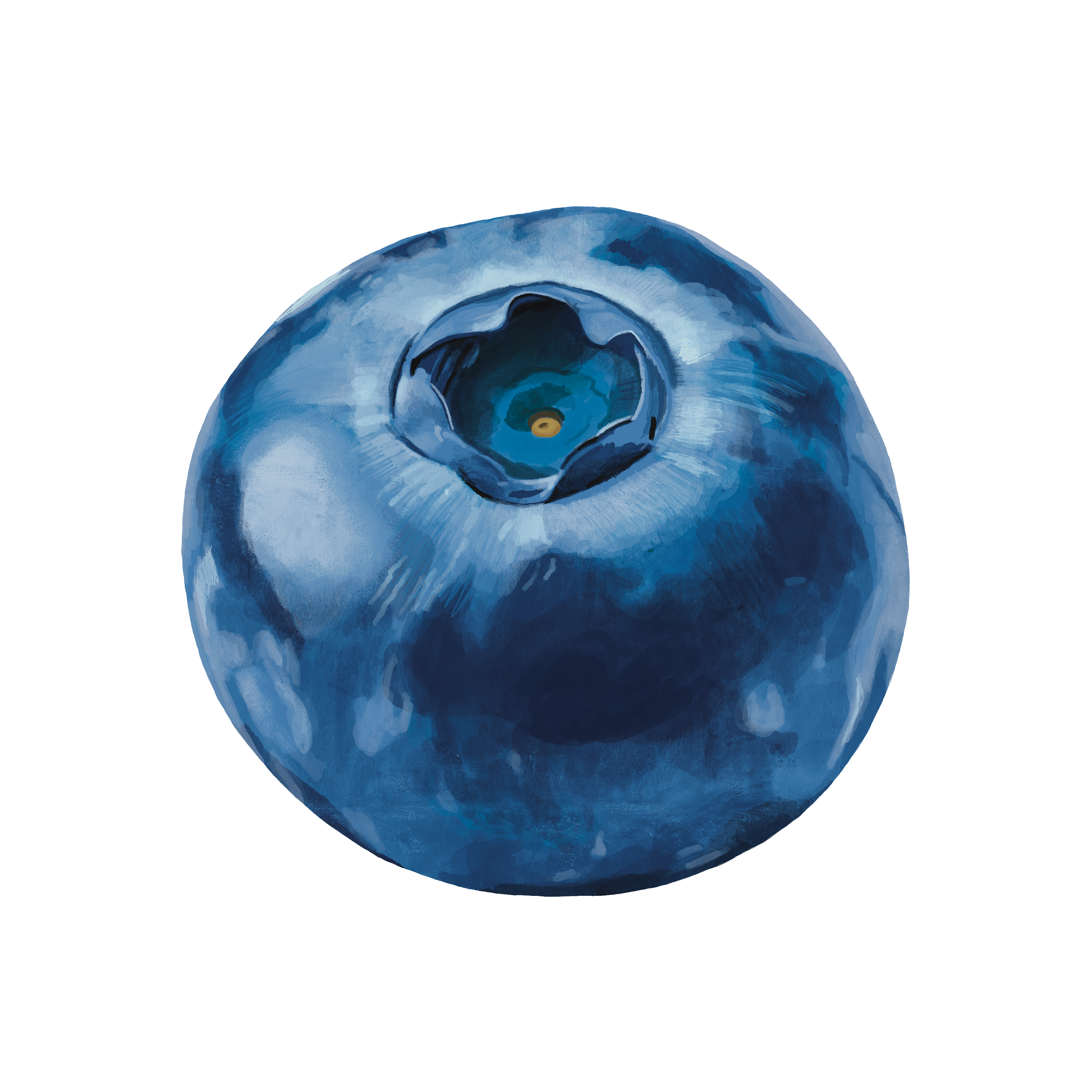 Icon - Flavour - Blueberry