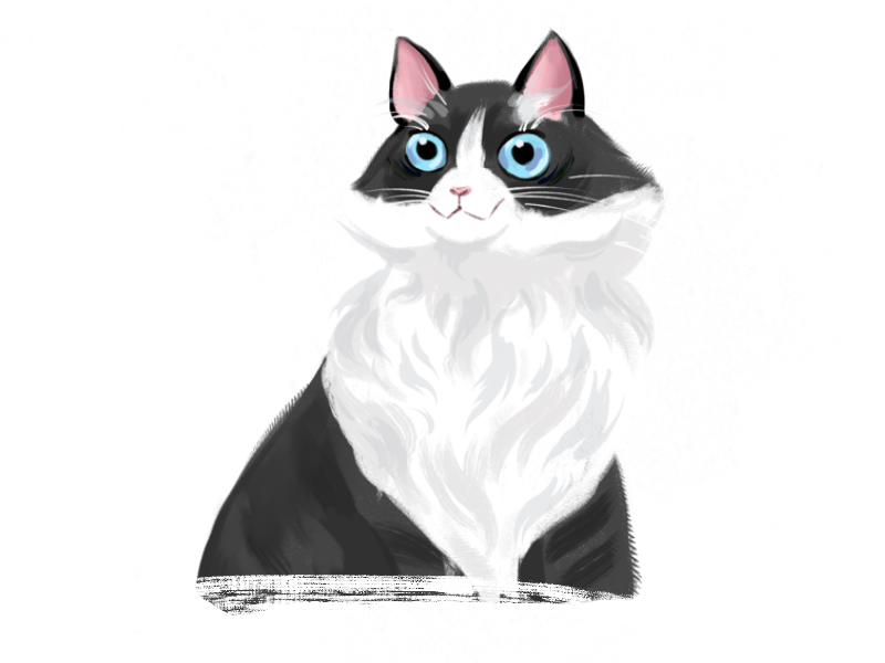 Fluffy Friends for Procreate