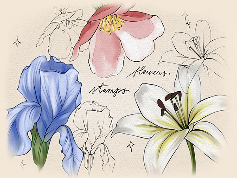 Flowers stamps for Procreate