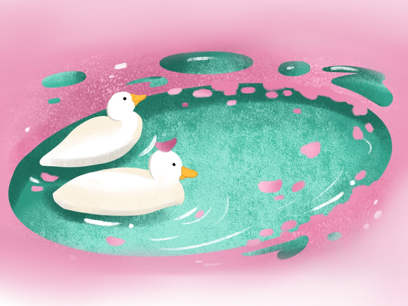 Cute Textured for Procreate