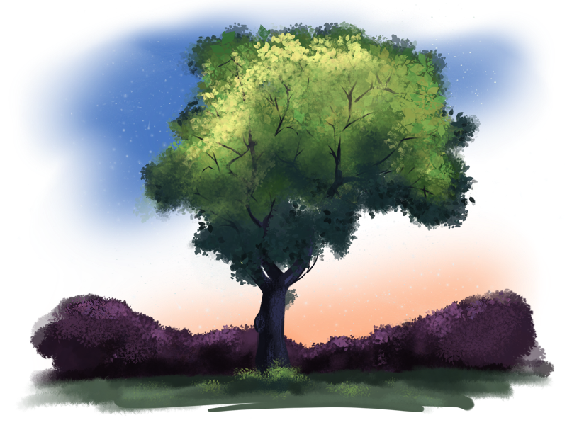 Trees for Procreate