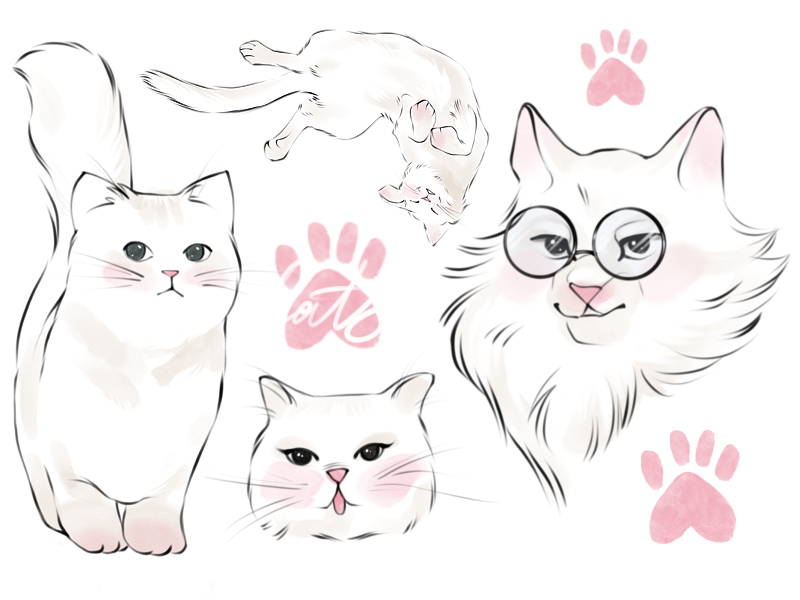 Cute cats for Procreate