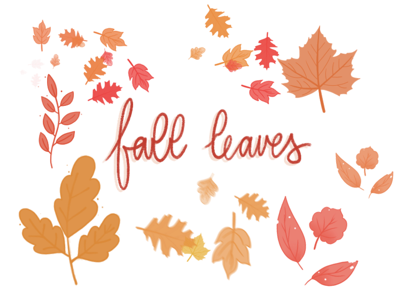 Fall leaves for Procreate