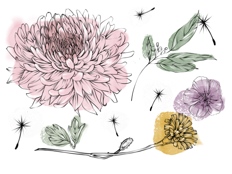 Botanica for Procreate
