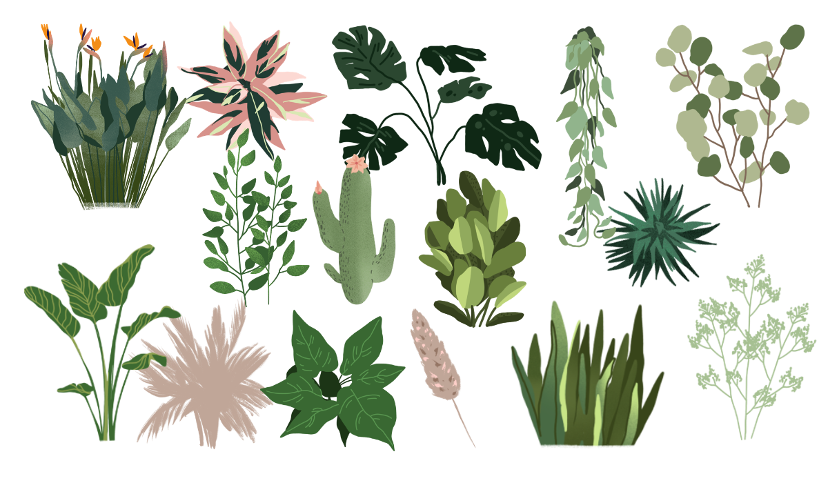 Flowers and Plants for Procreate