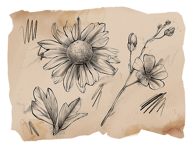 Tattoo bundle for Procreate