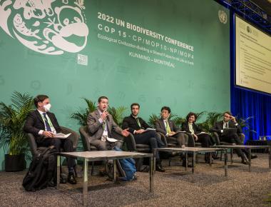 COP15 Puts Nature On Boardroom Agendas