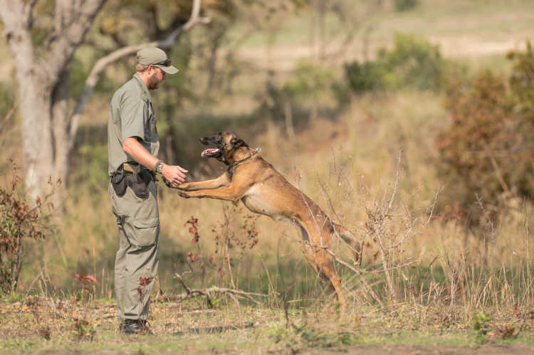Anti-Poaching Technology and Canine Unit