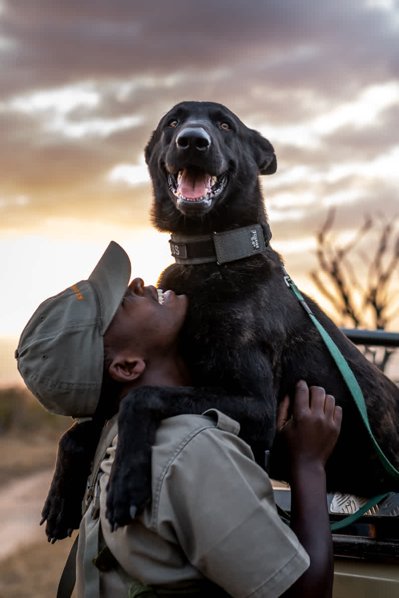 SS K9 UNIT Tshephiso and Lucky 6