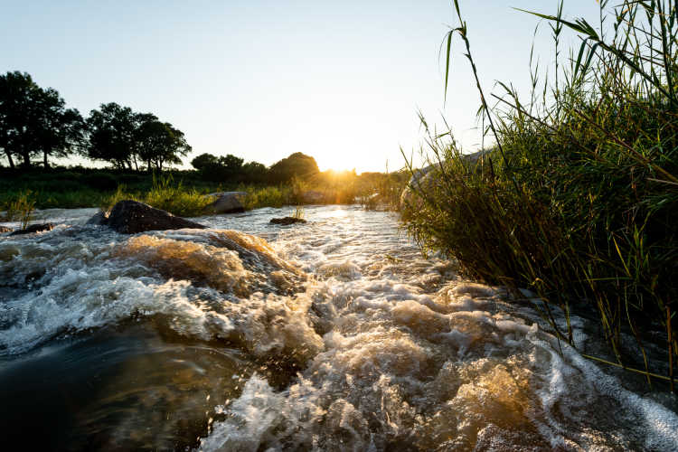 Water the lifeblood of the land  