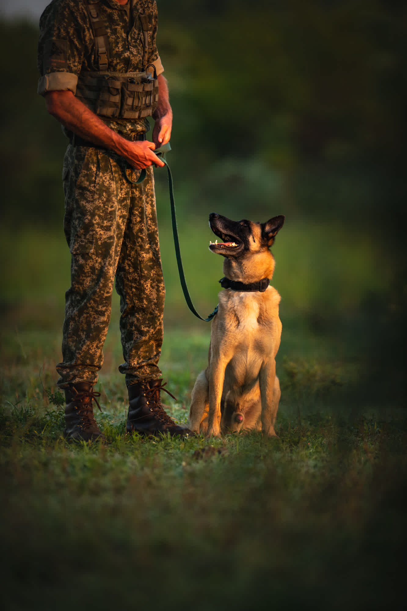 Anti-Poaching Technology and Canine Unit