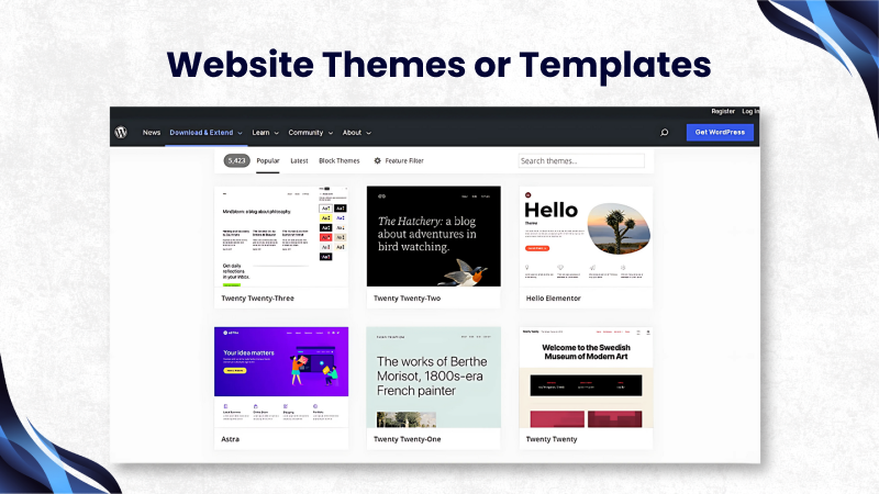 Website Themes or Templates