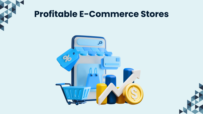 Profitable Ecommerce Stores