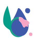 Allantoin