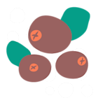 Natriumbenzoate