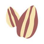 Helianthus Annuus Seed Cera