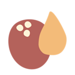 Coco glucoside and decyl glucoside