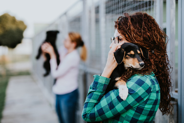 Before adopting a new pet, read this