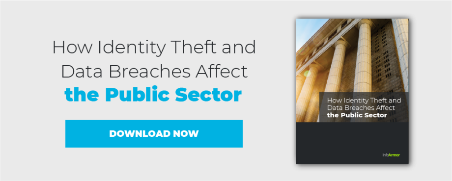 how identity theft and data breaches affect the public sector