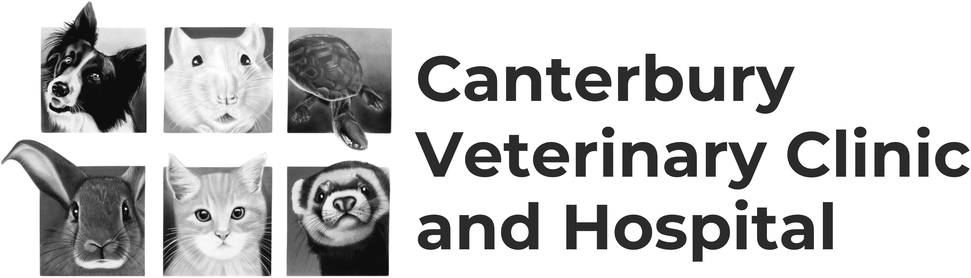 canterbury-verterinary-clinic-and-hospital-logo