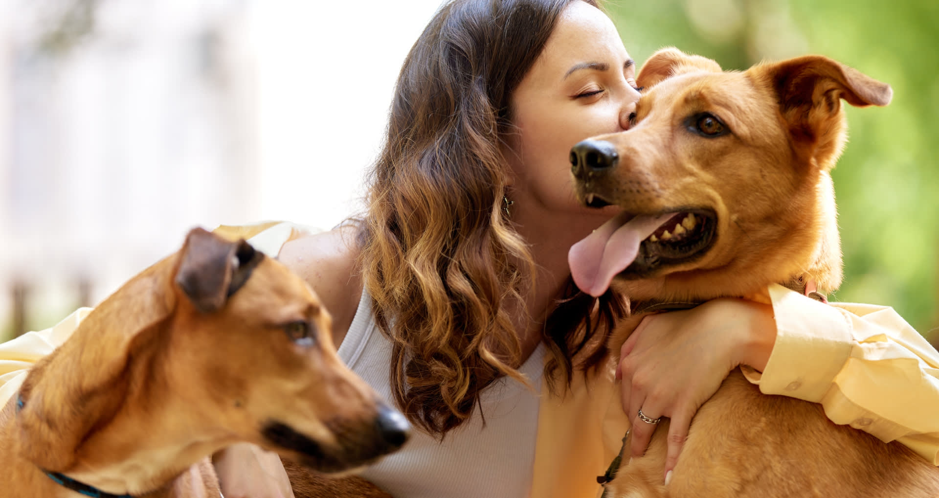 pair-dogs-woman