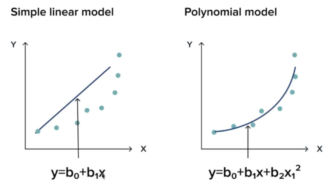 Polynomial Regression Features