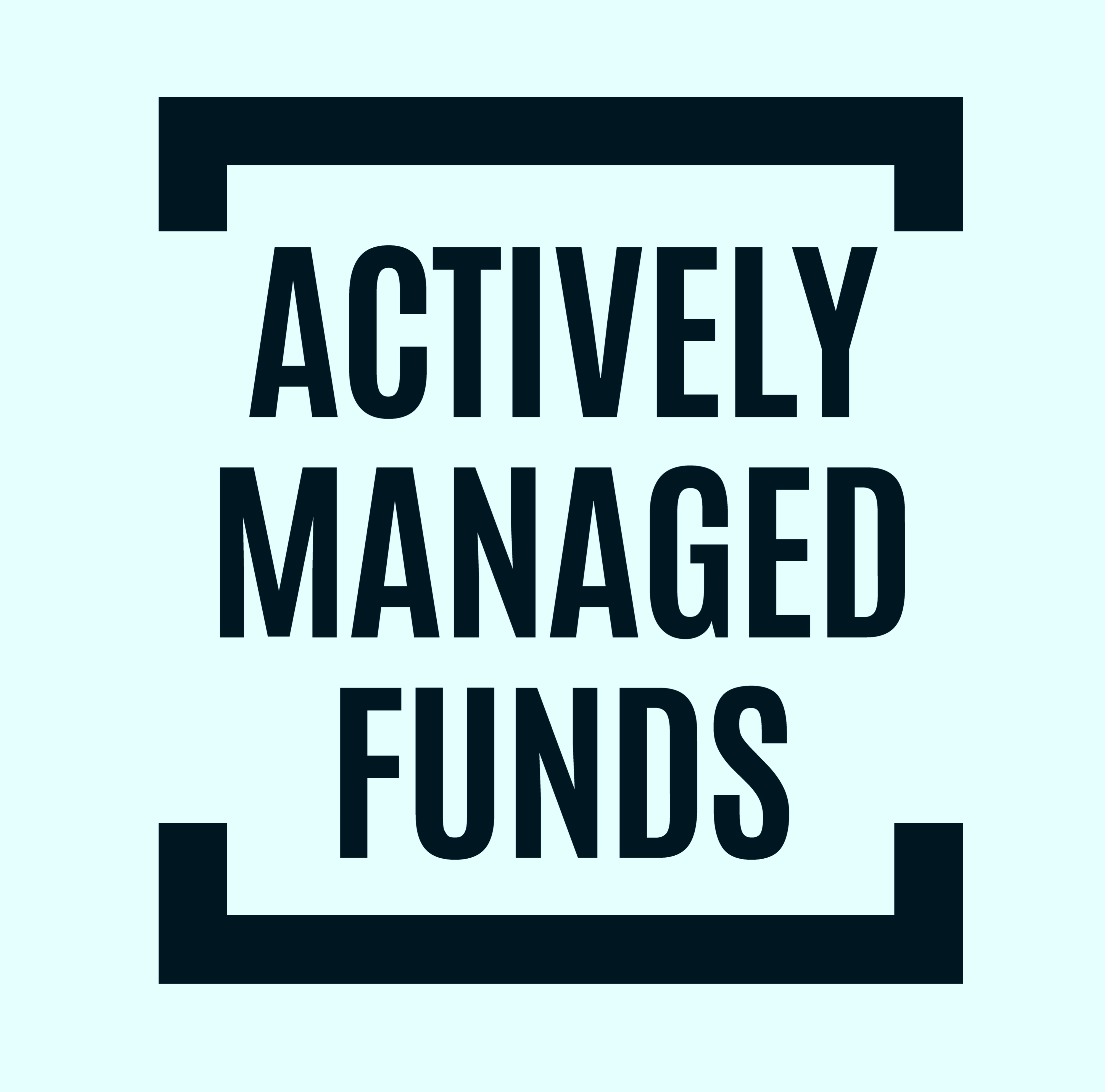 actively managed fund image