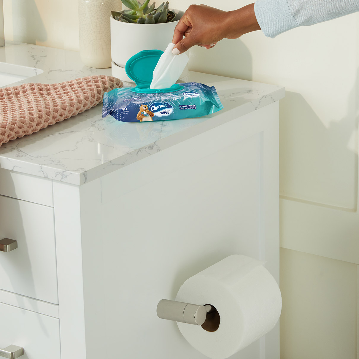 Buy Flushable Toilet Wet Wipes Safe For septic System Charmin