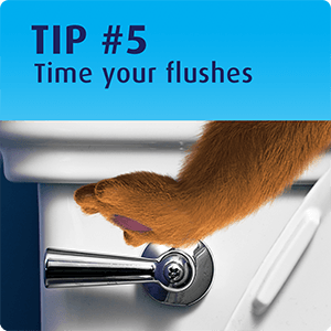 Tip 5 - time your flush to avoid embarrassing sounds