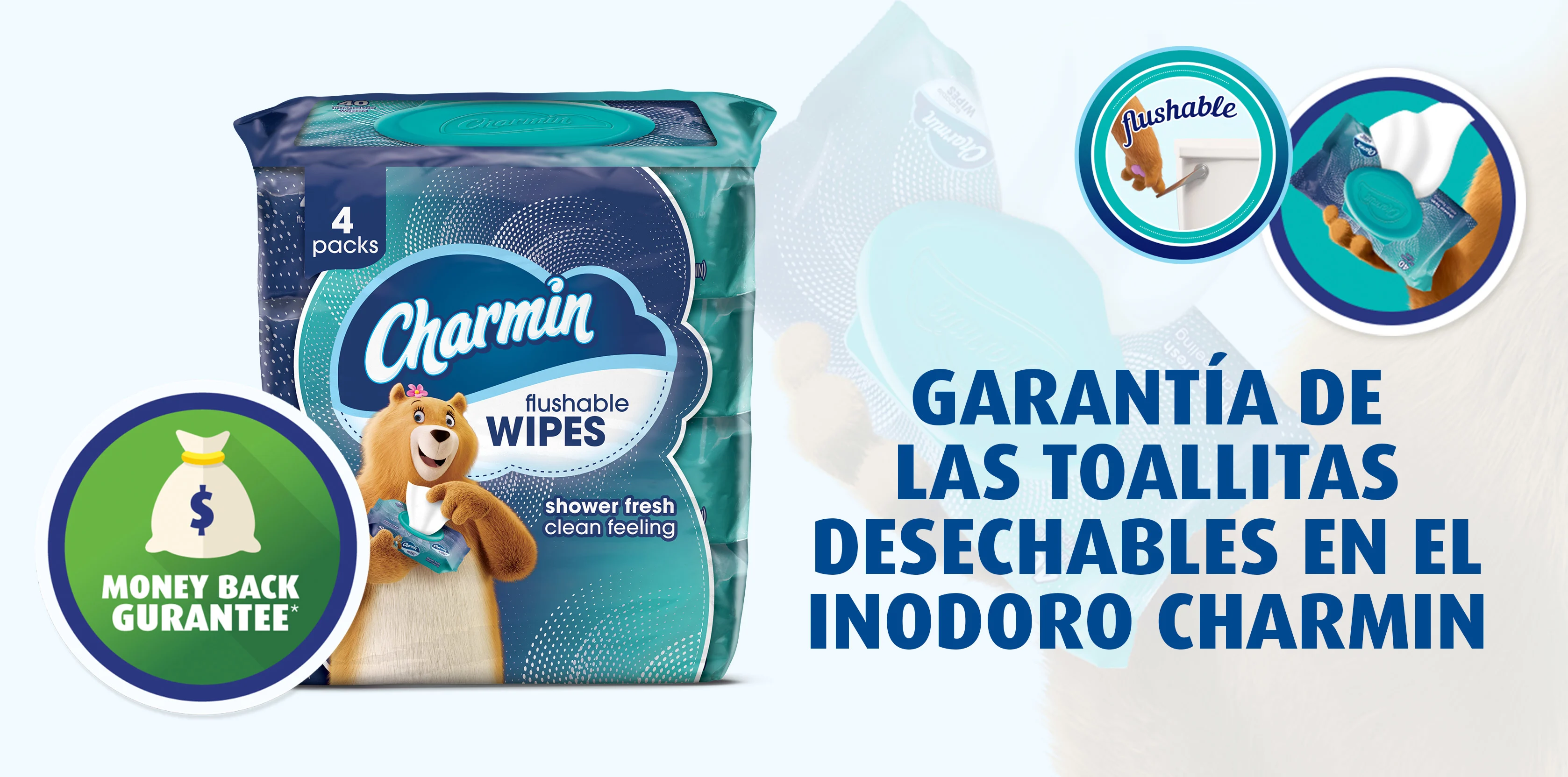 Money Back Guarantee icon next to Charmin flushable wipes package