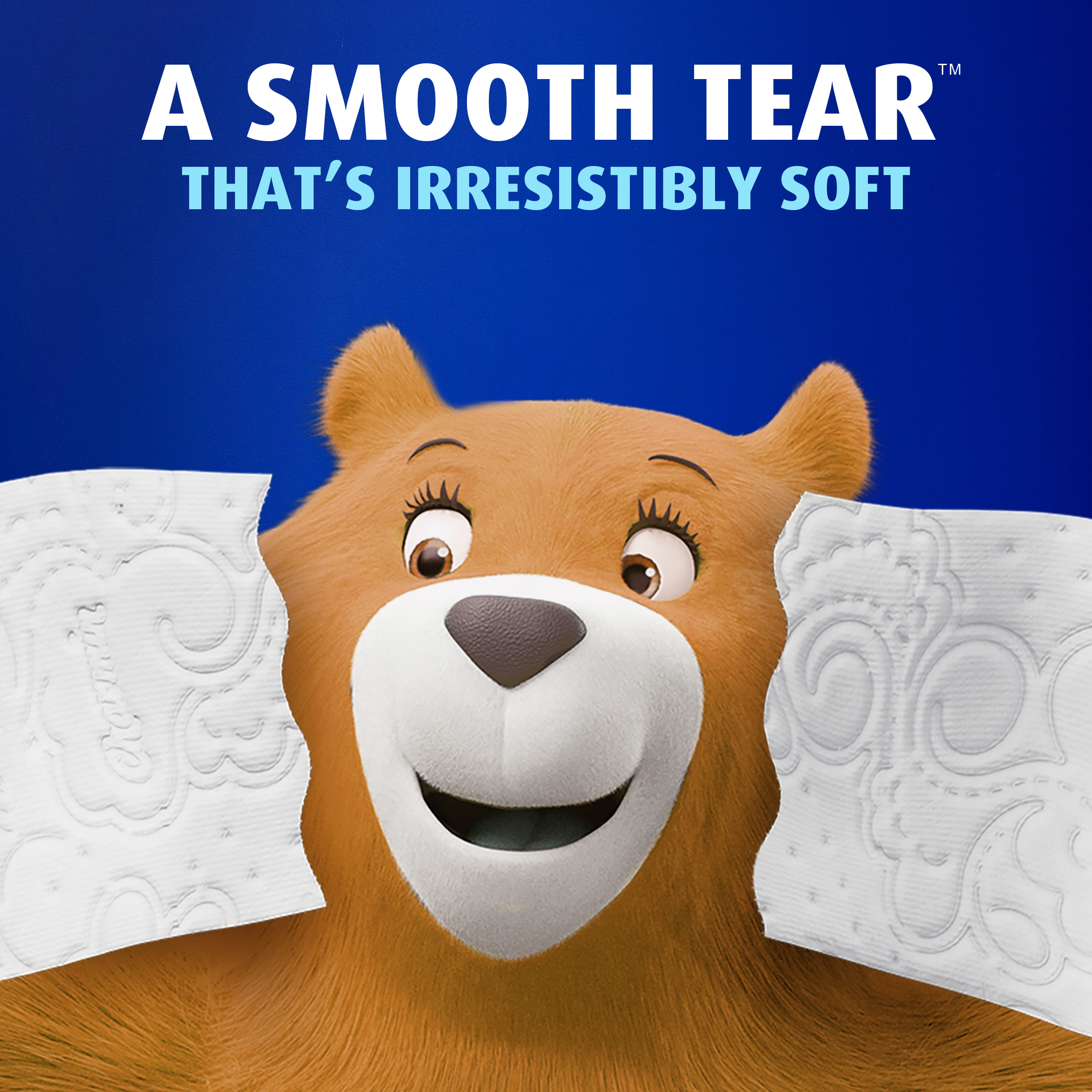 Charmin Toilet Paper