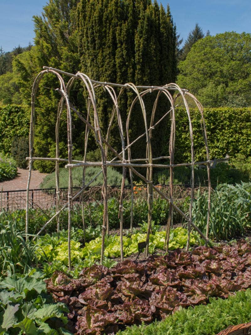 What Is a Potager Garden, and How Can You Design One? - Burpee, image size:800x1067