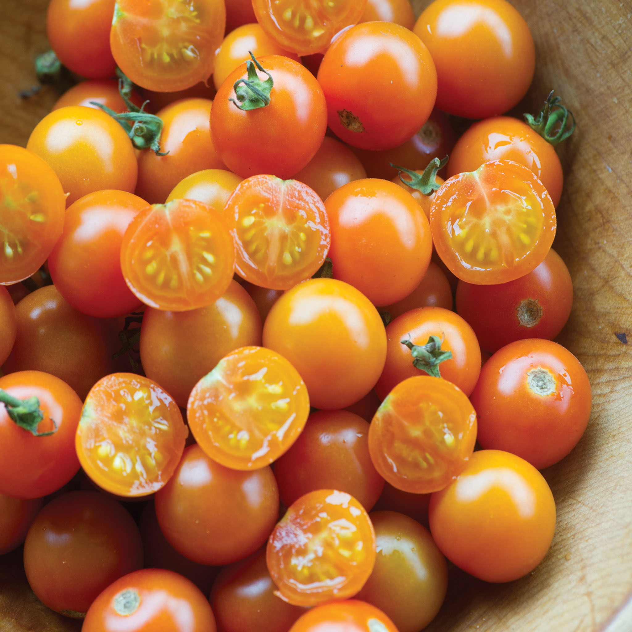 Sungold Hybrid Tomato Seeds & Plant