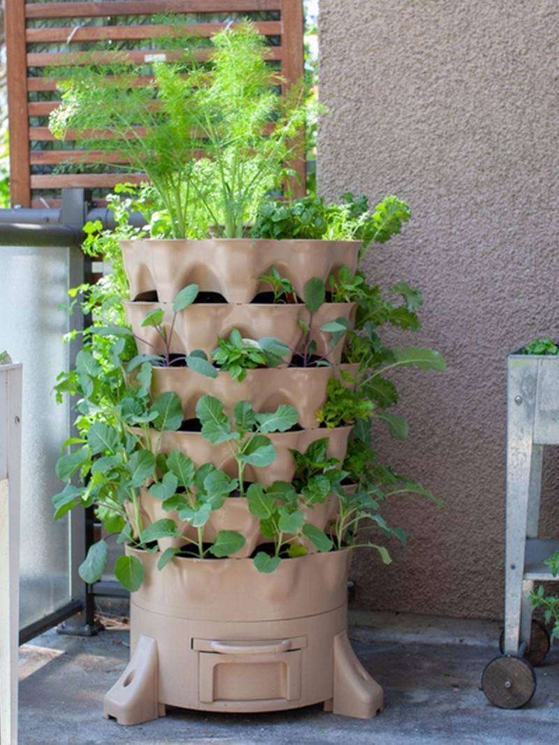 What Is Urban Gardening? Your Guide to Gardening in a City - Burpee, image size:800x1067