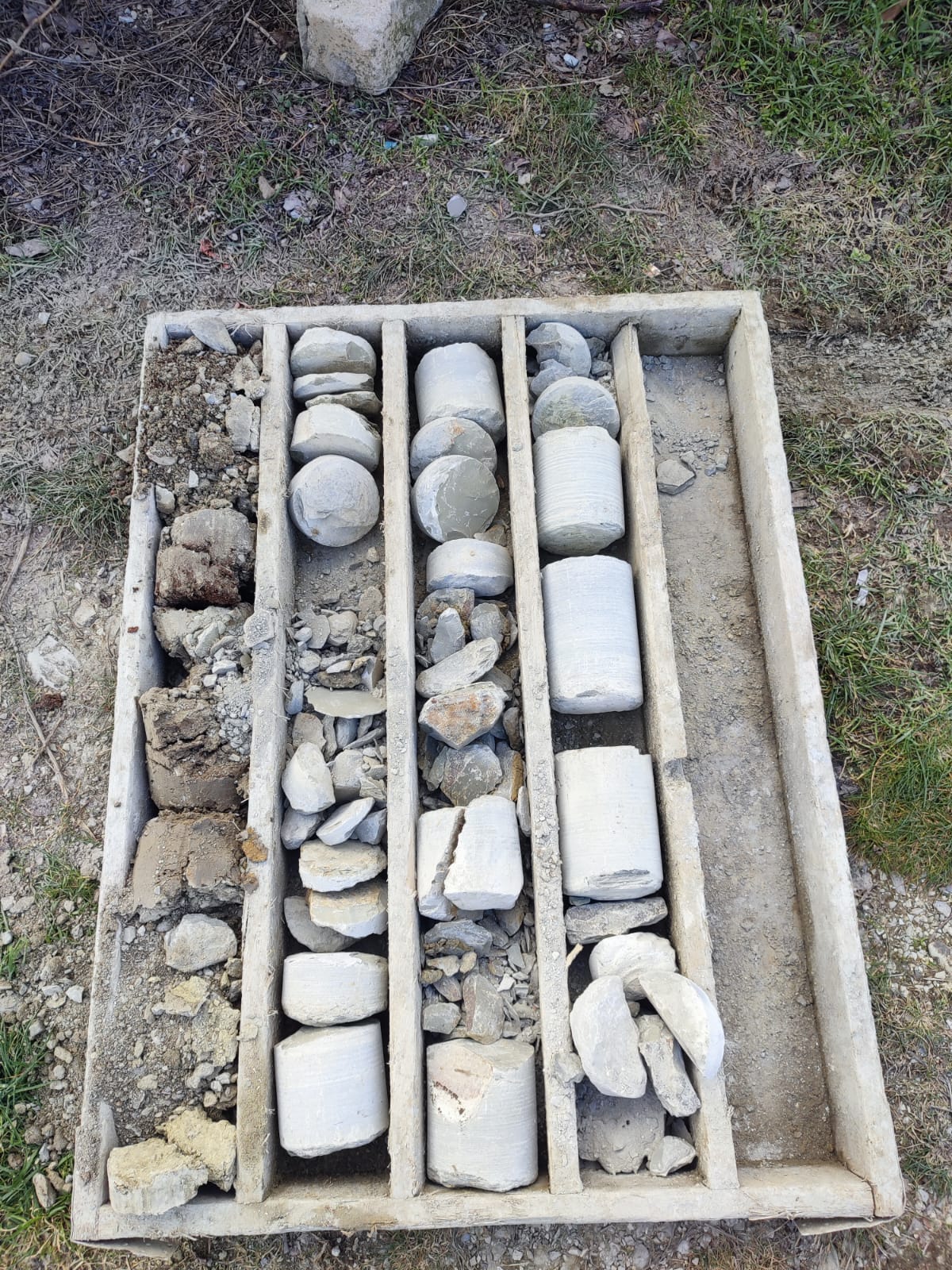 Отобранные пробы грунтов