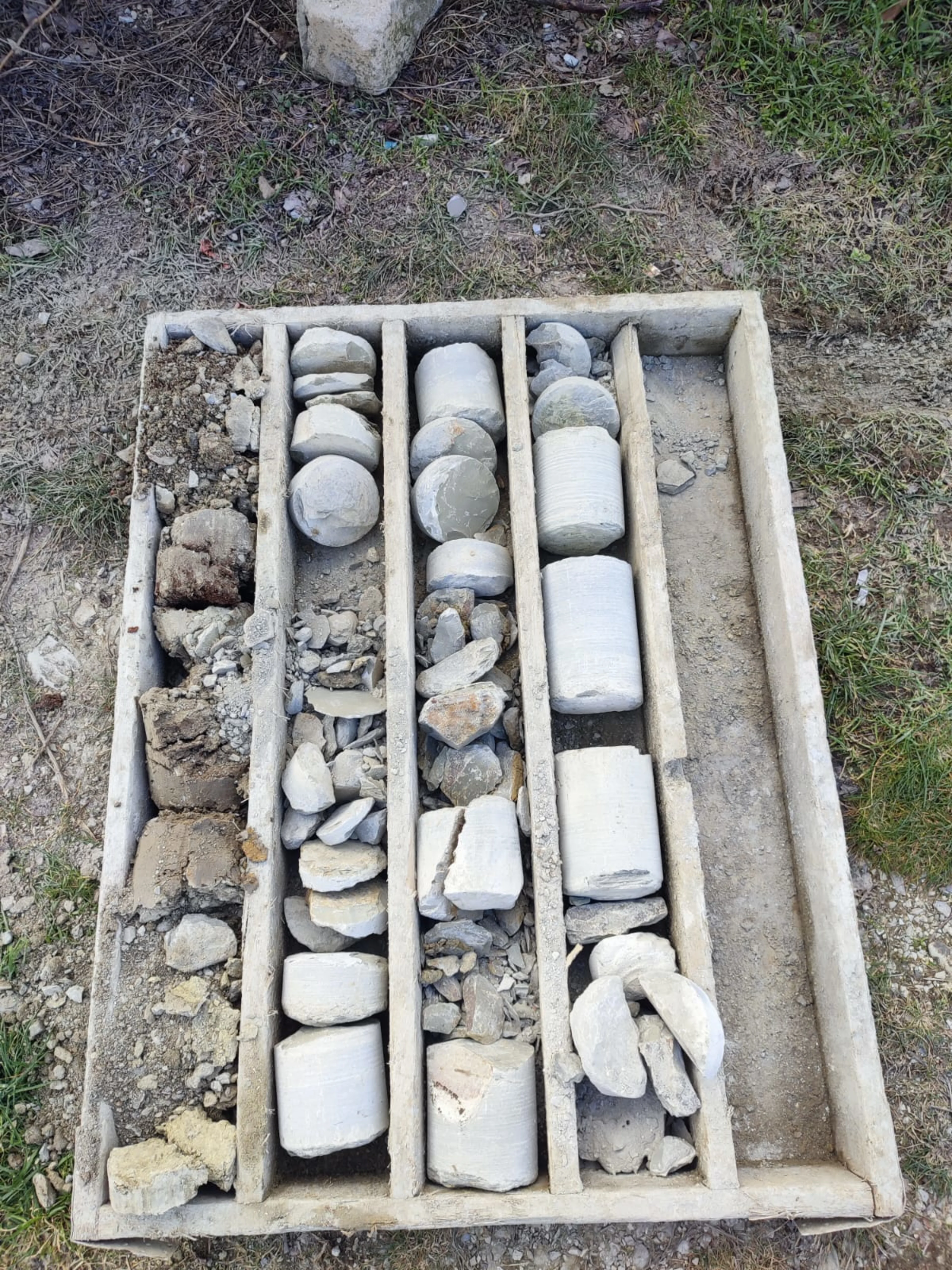 Отобранные пробы грунтов