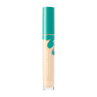 Concealer Component Light Warm
