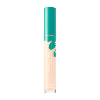 Concealer Component Fair Warm