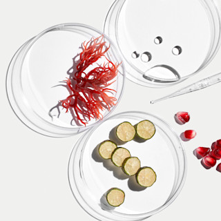 Peel - Ingredients Image