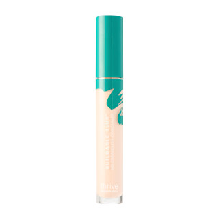 Concealer Component Very Fair Warm