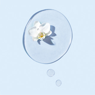 Timeless Ambition Serum - Ingredients Image