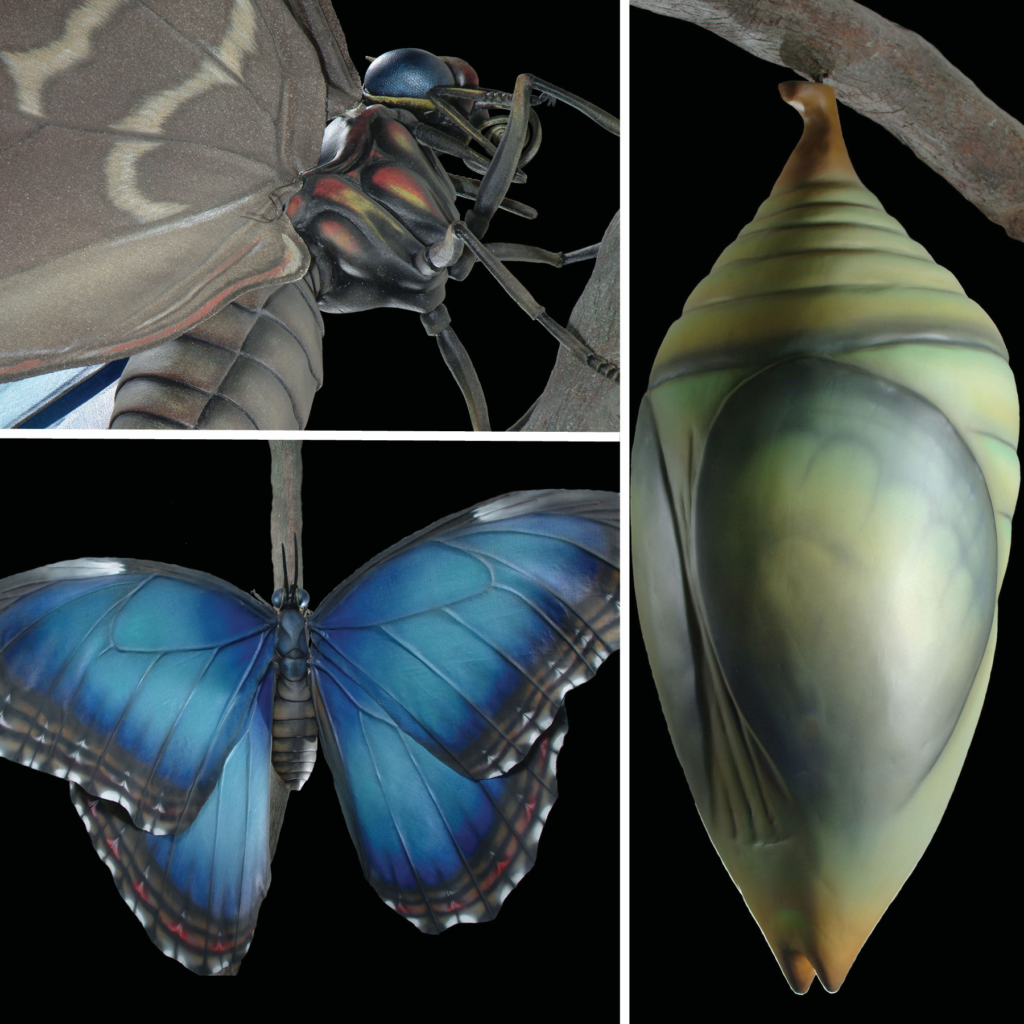 The Metamorphosis exhibit in New Orleans, Louisiana contains immersive butterfly models. 