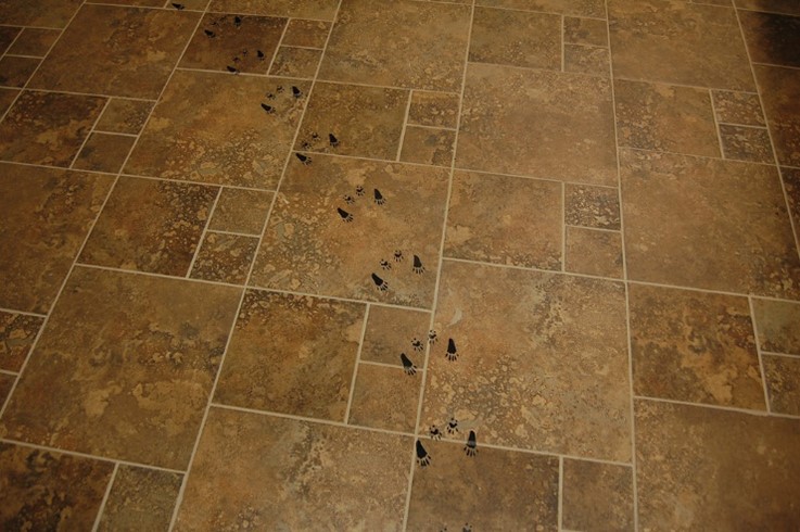 Vinyl Footprints