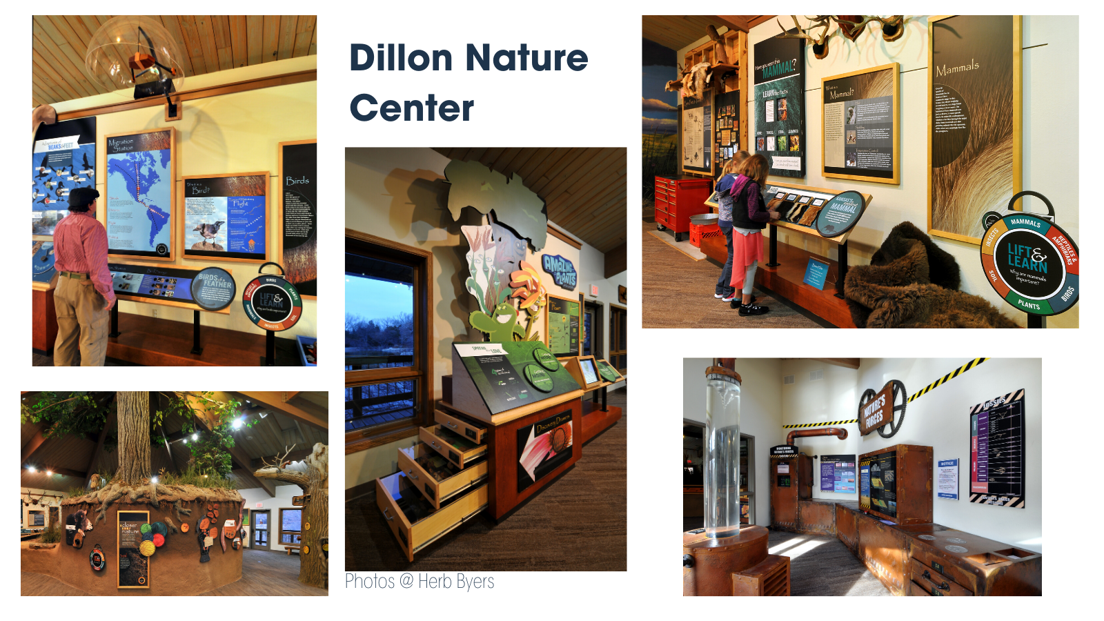 dillon nature cener