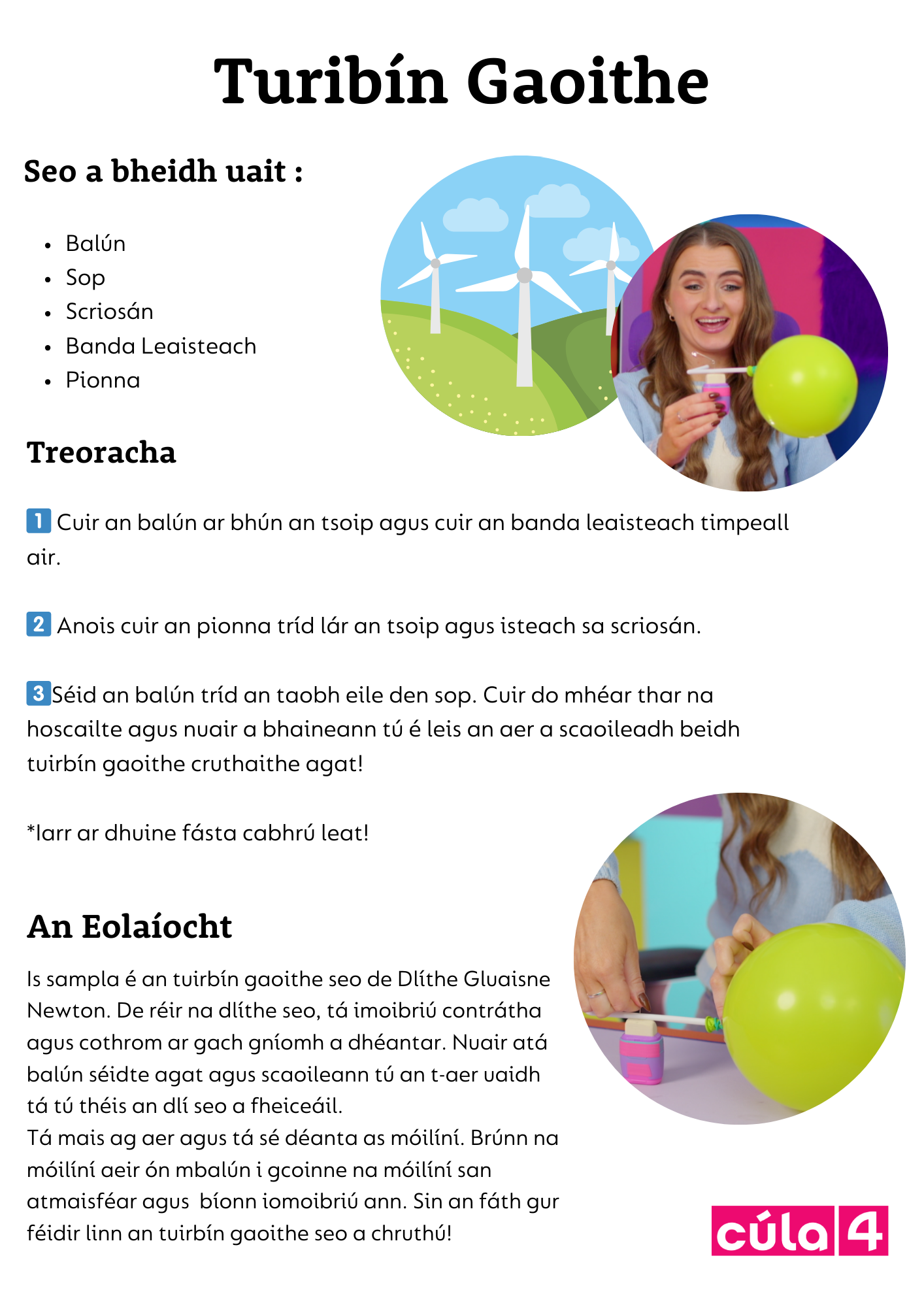 Turgnaimh (10)